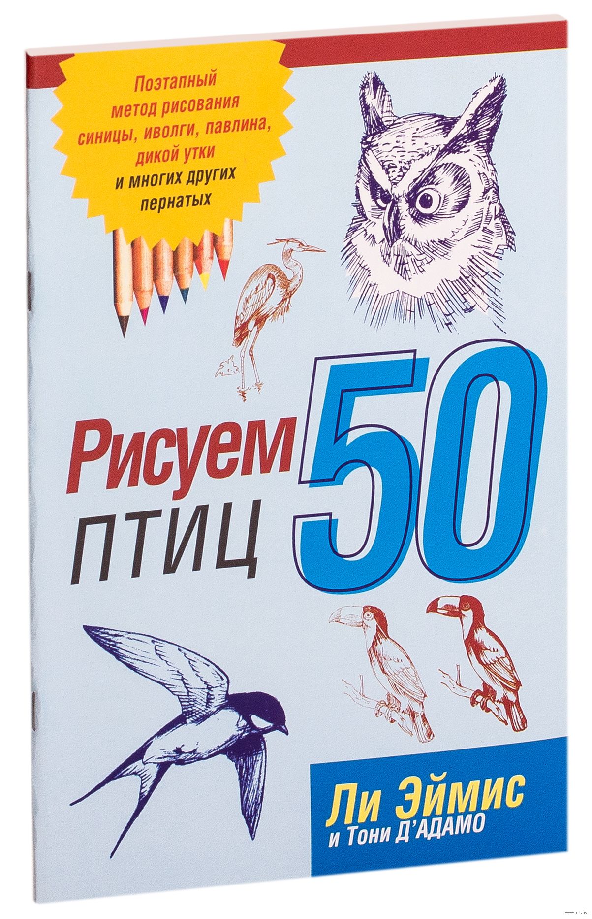 Рисуем 50 птиц