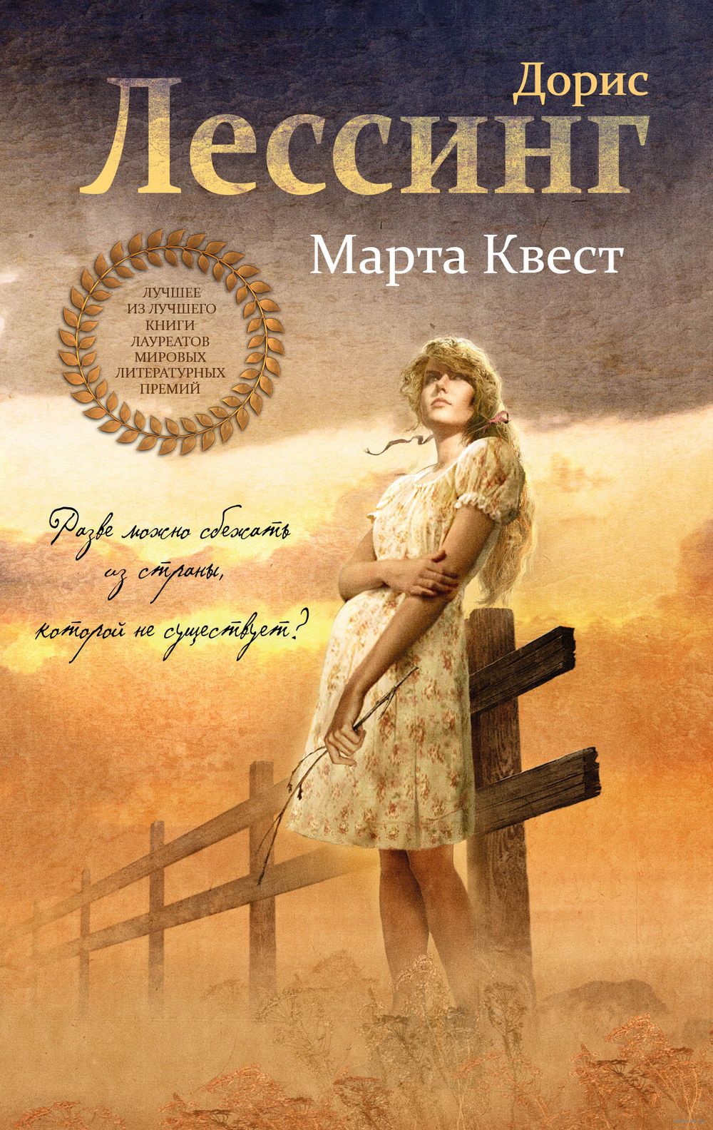 Дорис кей писательница. Лессинг Дорис "марта квест". Дорис Лессинг Роман ("марта квест". Дорис Лессинг книги. Христианские Художественные книги.