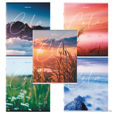 Тетрадь общая в клетку "Calm" (96 листов) — фото, картинка