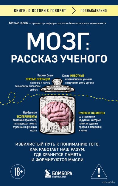 Мозг: рассказ ученого. Извилистый путь к пониманию того, как работает наш разум, где хранится память и формируются мысли — фото, картинка