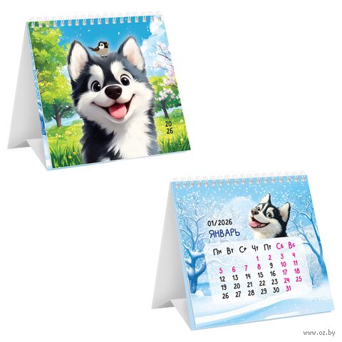 Календарь настольный на 2026 год "Радостный хаски" (10х10 см) — фото, картинка