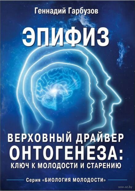 Эпифиз - верховный драйвер онтогенеза: ключ к молодости и старению — фото, картинка