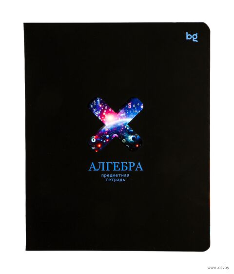 Тетрадь предметная "Информационное поле. Алгебра" (48 листов) — фото, картинка