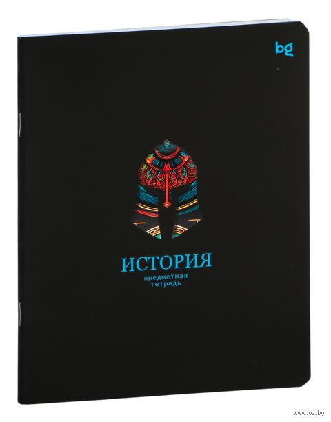 Тетрадь предметная "Информационное поле. История" (48 листов) — фото, картинка