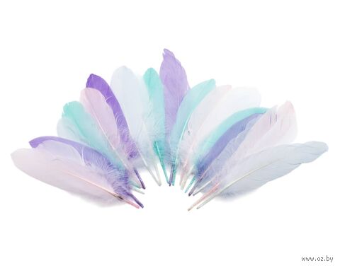 Перо гусиное обработанное "Ассорти" (20 шт.) — фото, картинка