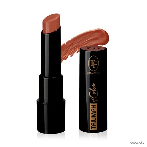 Помада для губ "Triumph Of Color" тон: 717, нюдовый — фото, картинка