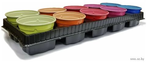 Набор горшков для рассады "Color" (10,5х8 см; 10 шт.) — фото, картинка