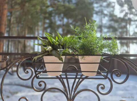 Ящик для цветочных горшков "Брутал" (45х23х14 см; чёрный) — фото, картинка