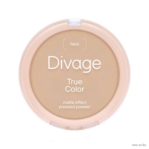 Компактная пудра для лица "True Color" тон: 04, sand — фото, картинка