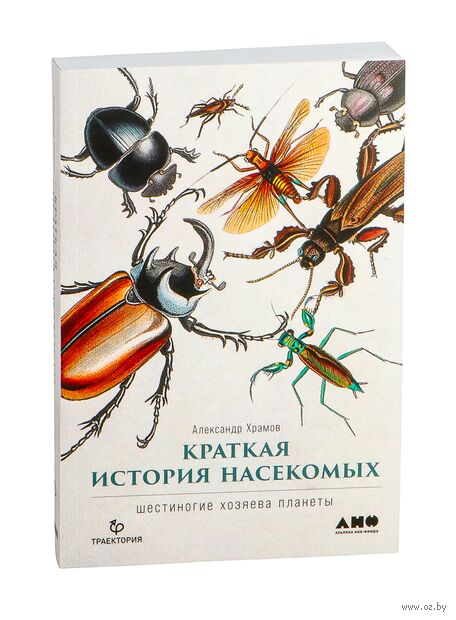 Краткая история насекомых. Шестиногие хозяева планеты — фото, картинка