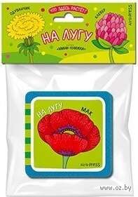 Мини-книжки Эва. Что здесь растёт? На лугу — фото, картинка