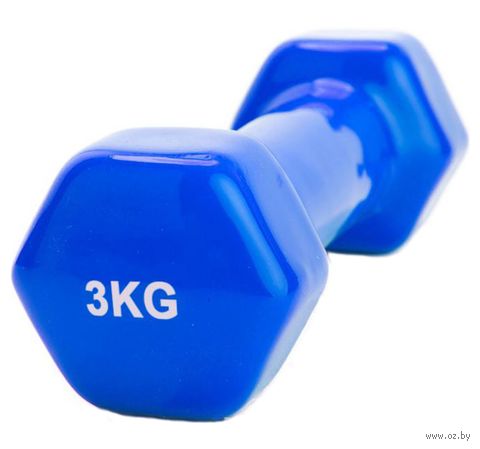 Гантель обрезиненная 3 кг (синяя) — фото, картинка