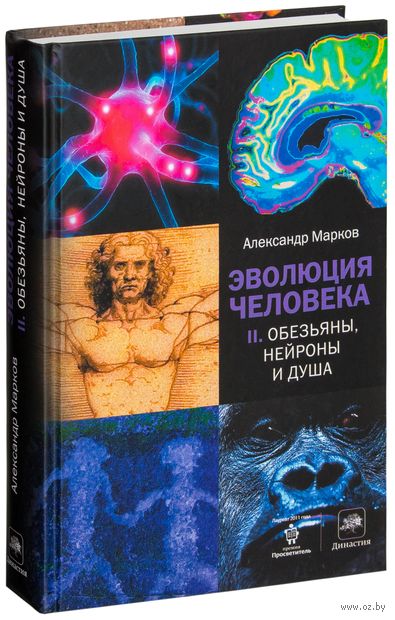 Эволюция человека. В 3-х книгах. Книга 2. Обезьяны, нейроны и душа — фото, картинка