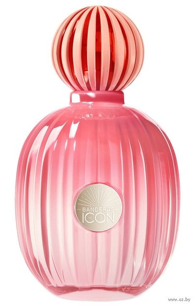 Парфюмерная вода для женщин "Banderas The Icon Splendid" (100 мл) — фото, картинка