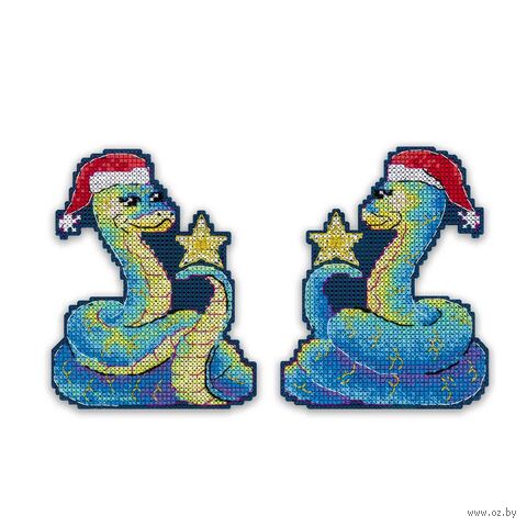 Набор для вышивания на пластиковой канве "Змейка на удачу" (90х110 мм) — фото, картинка